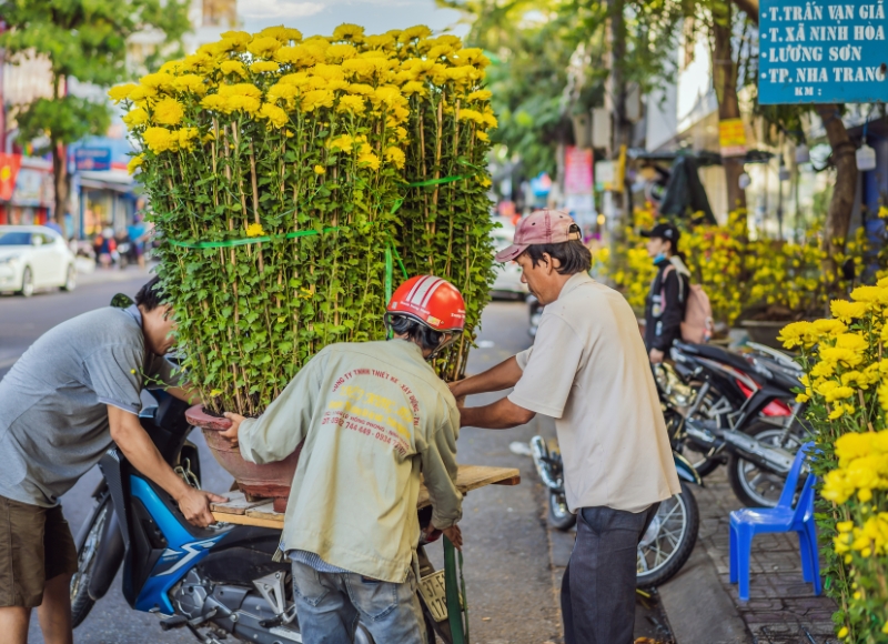 chuan-bi-tet-viet-nam